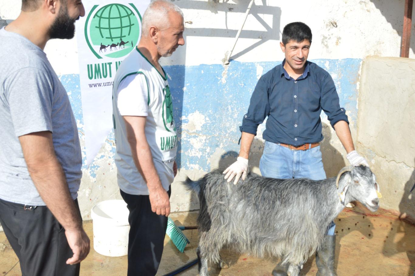 Umut Kervanı Siirt'te kurban eti dağıtımına başladı